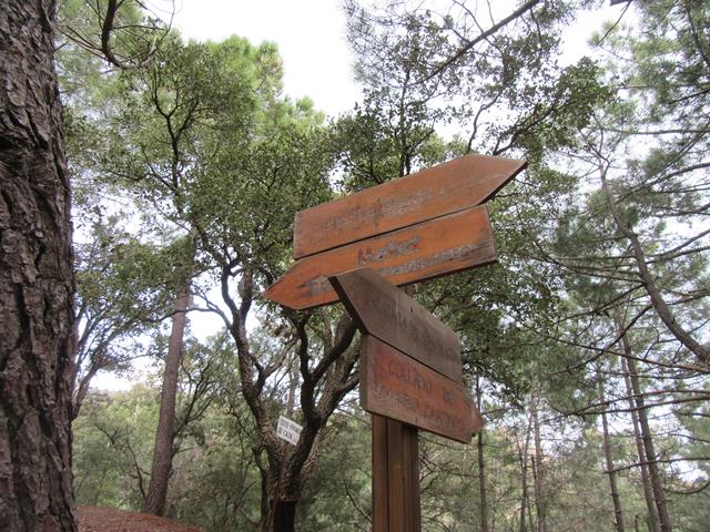 Carteles