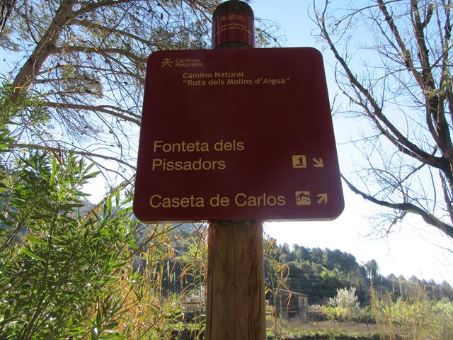 Cartel
