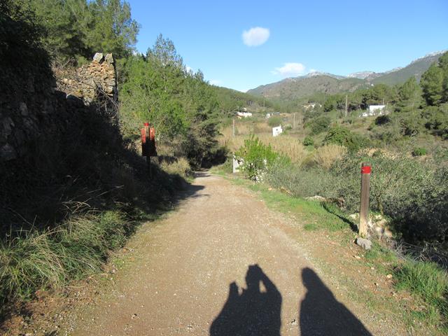 Pista