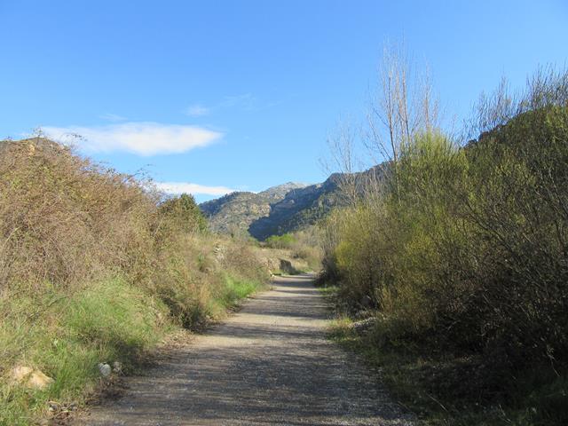 Pista