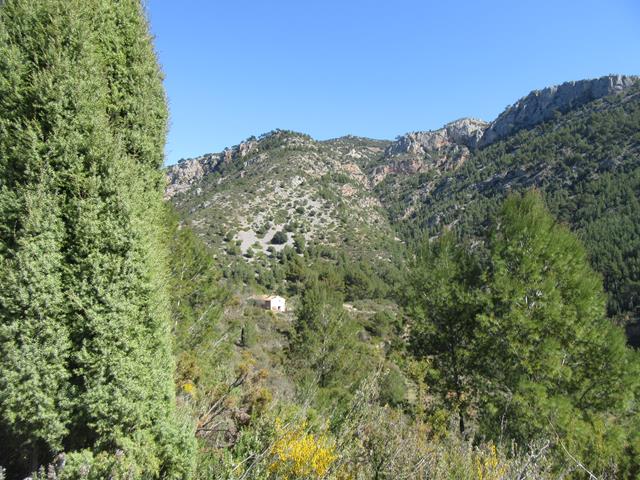 Vistas