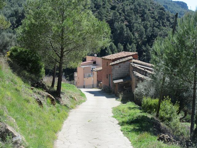 Masía