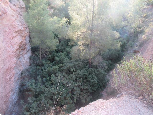 Sima
