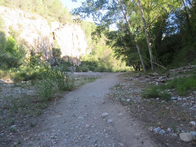 Camino hacia la Zona de Baño