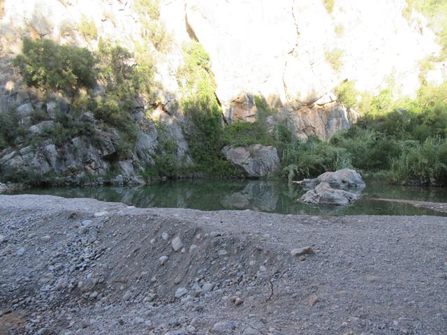 Poza