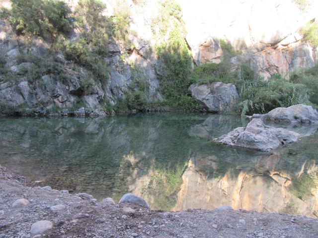 Poza