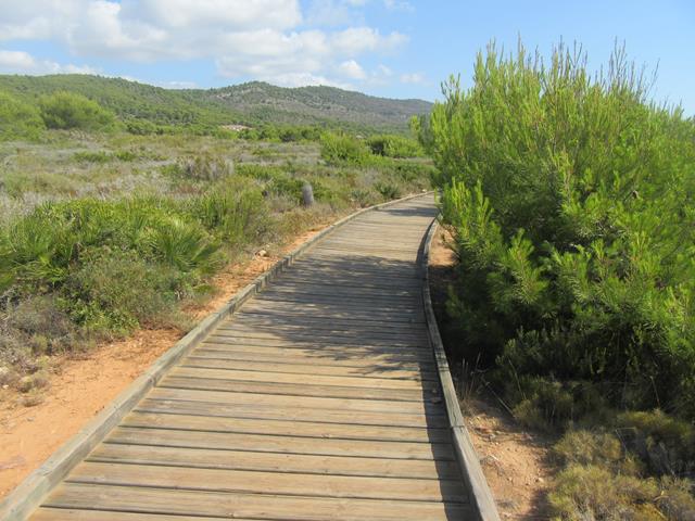 Pasarela