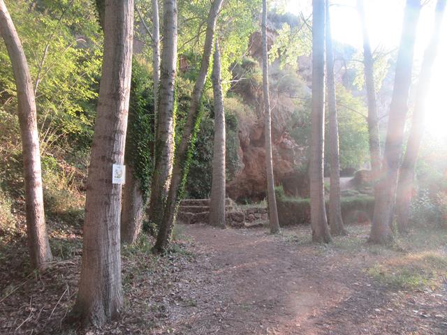 Subiendo a las Cuevas