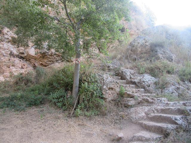 Escaleras de Comunicación