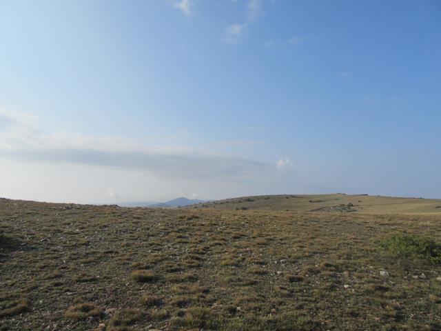 Vistas