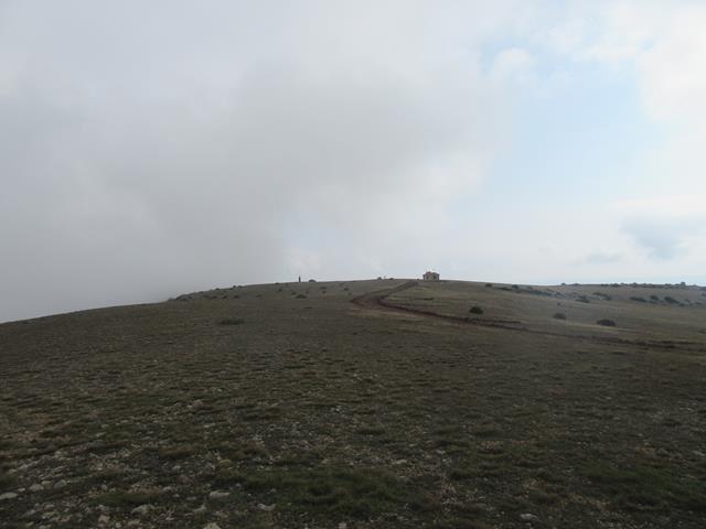 Vista hacia atrás