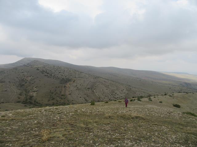 Vistas