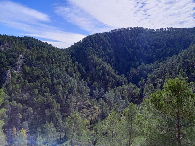 Vistas