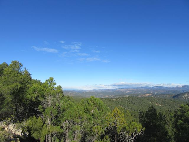 Vistas