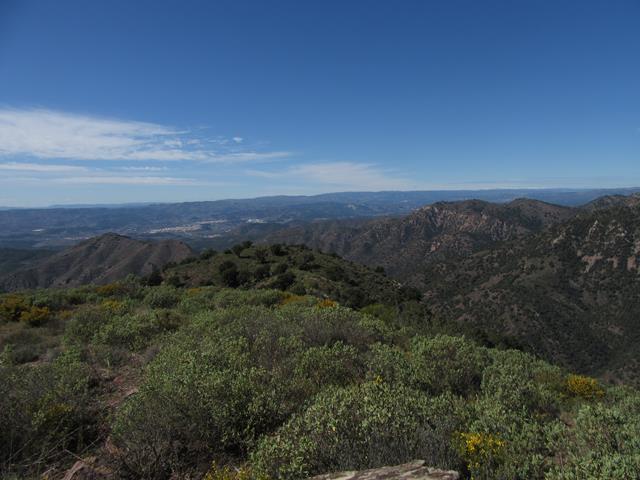 Vistas