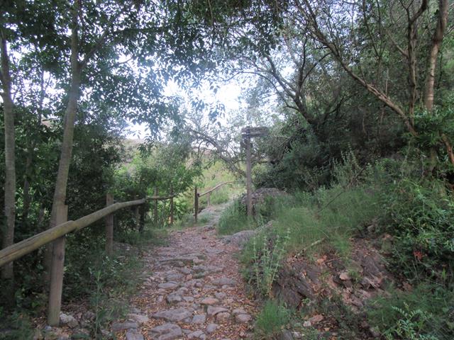 Cruce