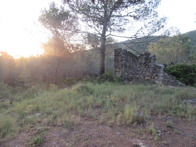Corral