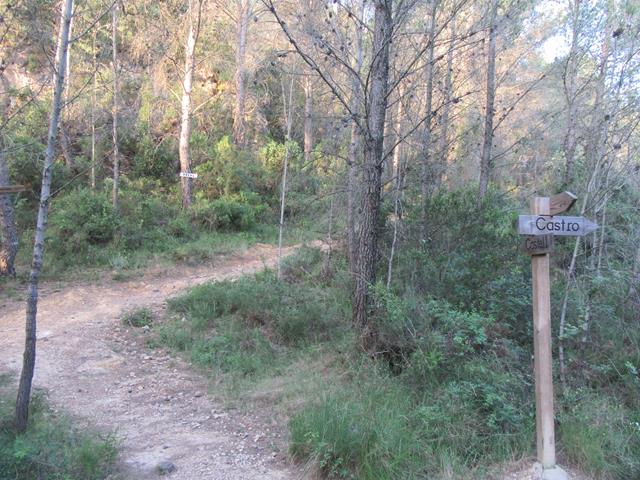 Cruce