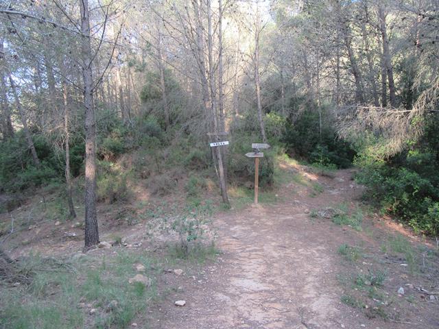 Cruce
