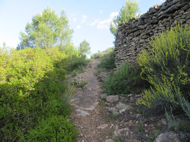 Senda
