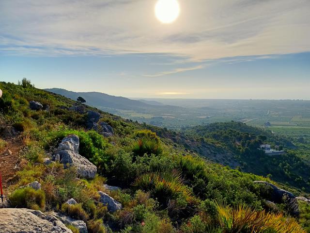 Vistas