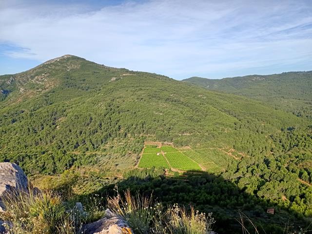 Vistas