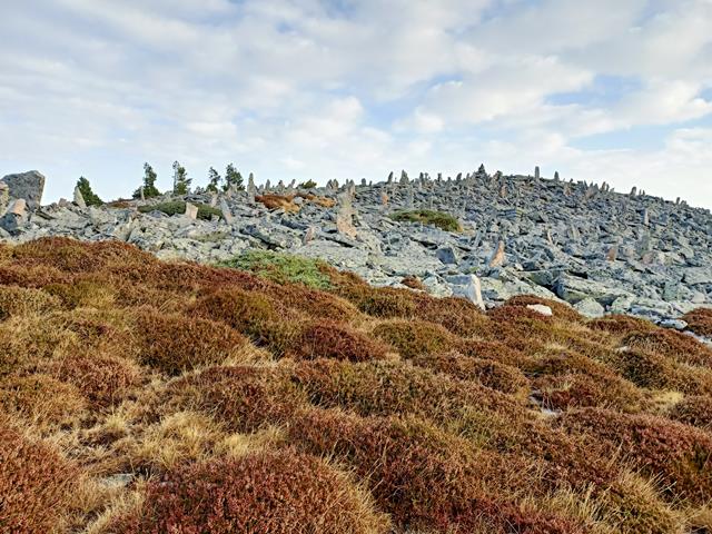 Zona de Piedras