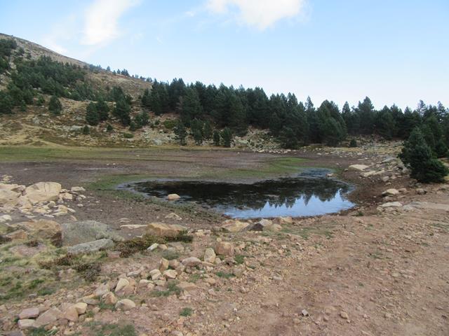 Laguna Tomeda