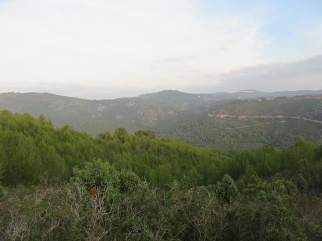 Vistas