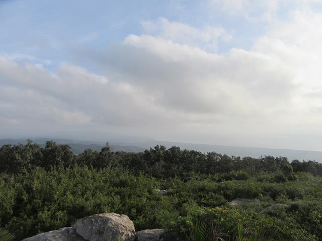 Vistas