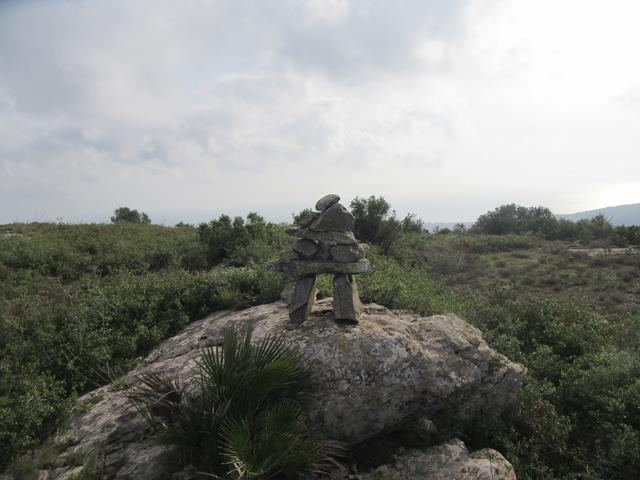 Cima