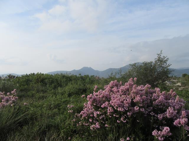 Vistas hacia el Bartolo