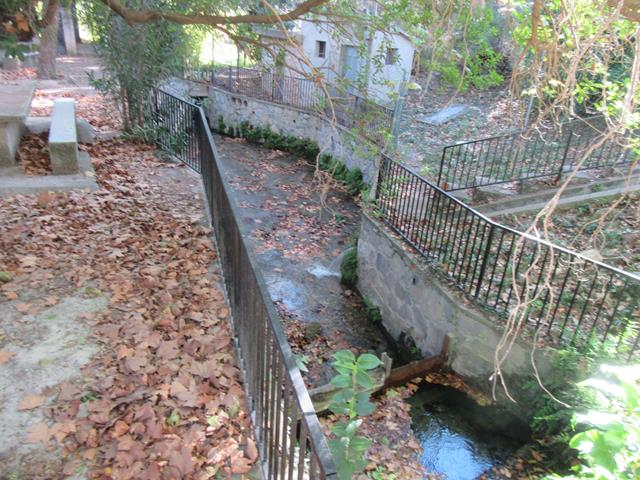 Area de San Miguel