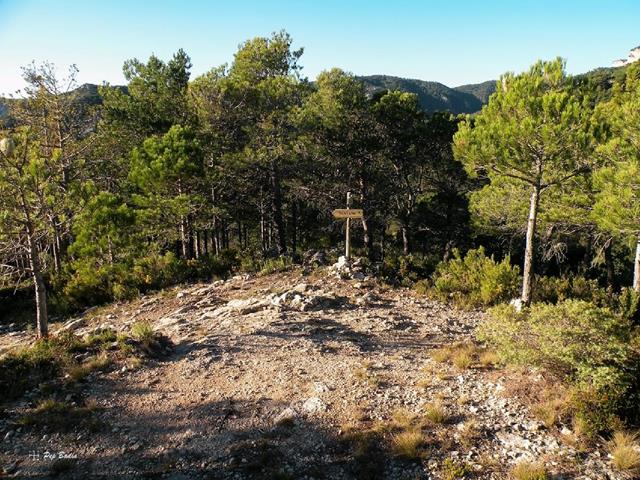 Coll de Ferri