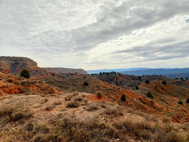Vistas