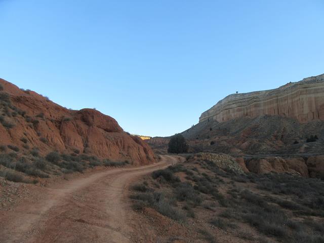 Camino