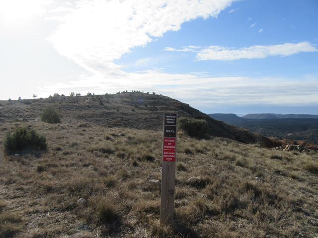 Estaca de Madera