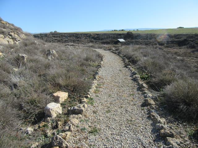 Camino de Entrada