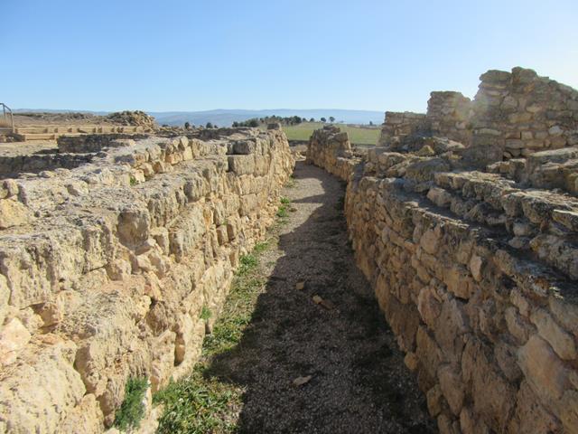 Calle del Poblado