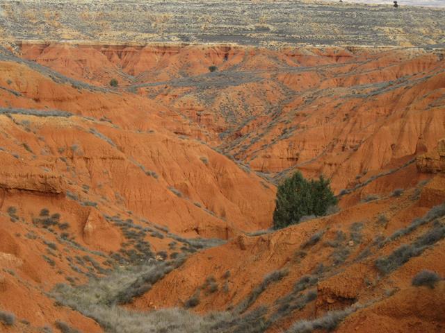 Vistas