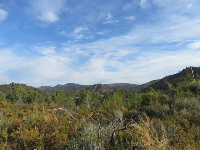 Vistas