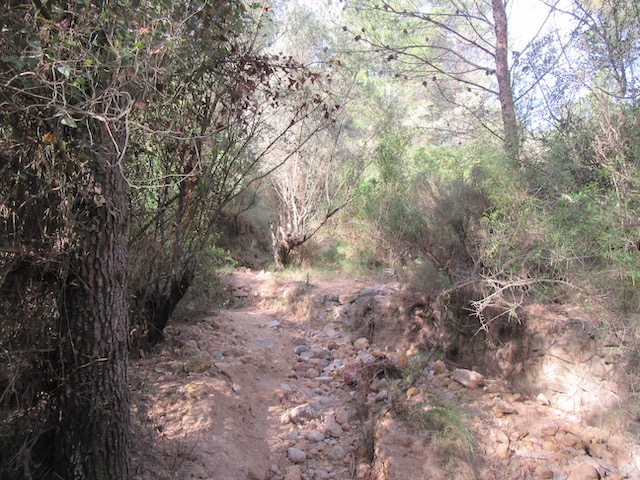 Senda