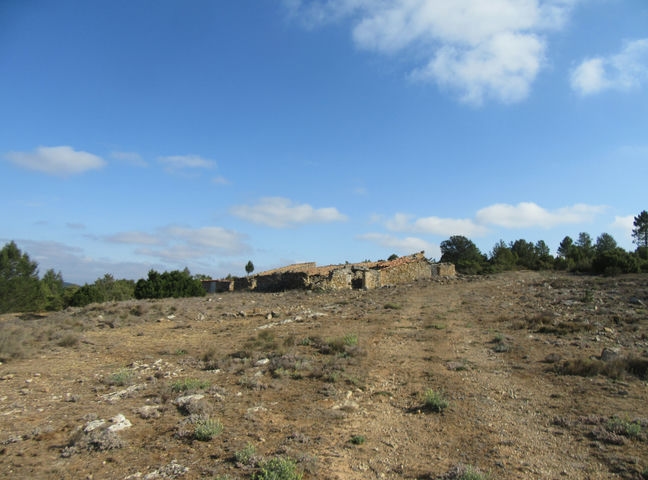 Corral