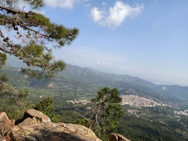 Vistas