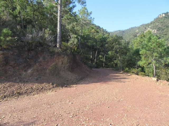 Pista