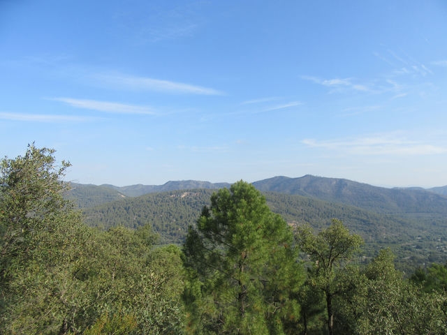 Vistas