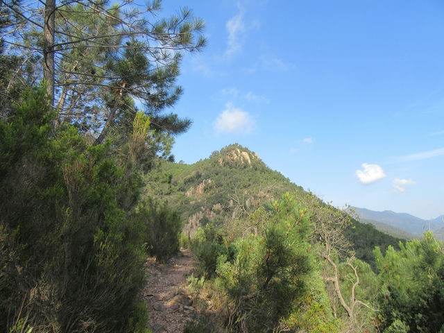 Vistas