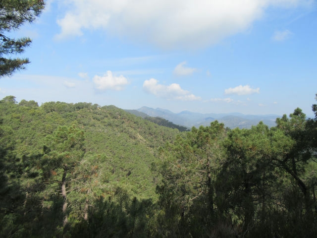 Vistas