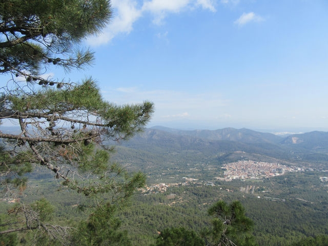 Vistas