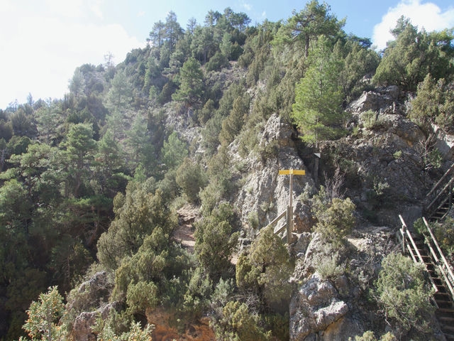 Vistas desde el Puente